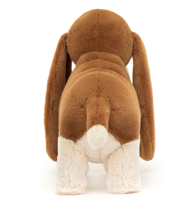 RAN3BH RANDALL BASSET HOUND