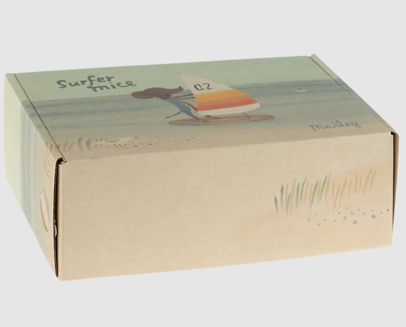 17-2207-00 SURFER BIG BROTHER packaging