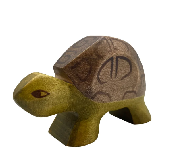 5819 TARTARUGA