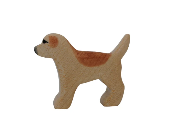 1583  CANE GOLDEN RETRIVER